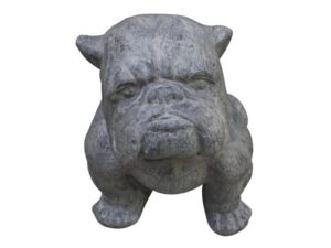 Small Bulldog