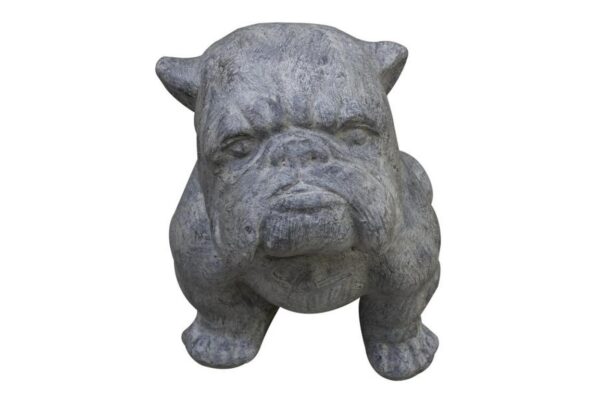 Small Bulldog
