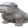 XL Bulldog