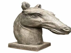 Horses head