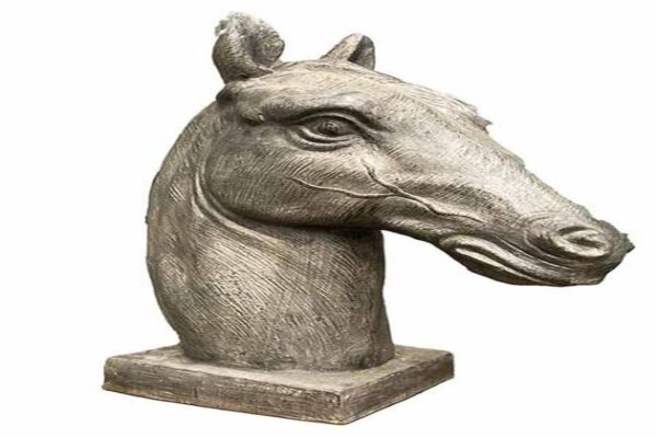 Horses head