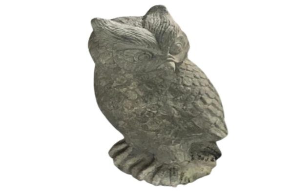 Small Owl ( Box of 4)