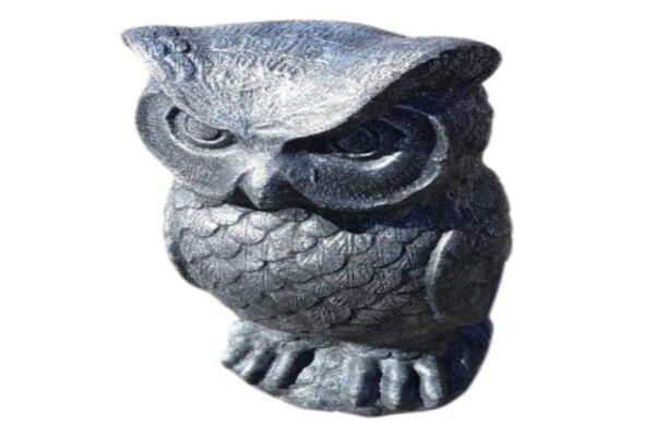 Large Owl