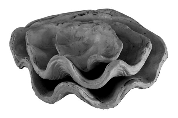 DF-BB-GRC70B-featured Set of 3 Clam Shells