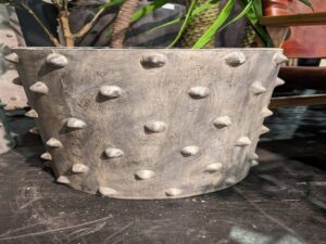 Spiky Pot - Set of 2