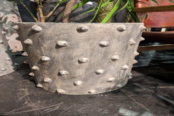Spiky Pot - Set of 2