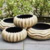 Flores - Scalloped Bowl - Old Cream (pack of 2)
