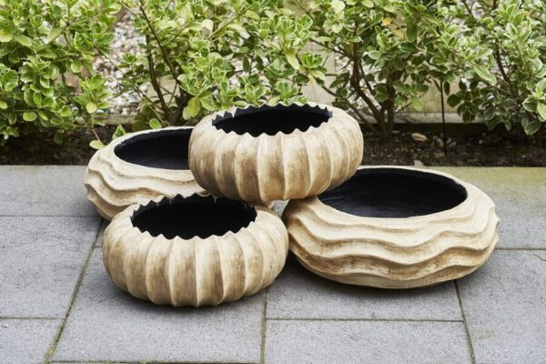 Flores - Scalloped Bowl - Old Cream (pack of 2)