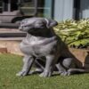 DF-BB-GRC84B-featured-1 Labrador