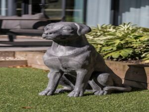 Labrador