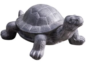 DF-BB-GRC87B-featured-1 Tortoise - Old White