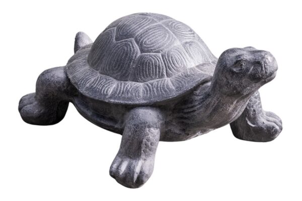 Tortoise - Old White