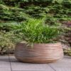 DF-BB-GRC90-SB-featured-1 Ribbed Pot - Soft Brown