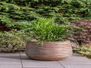 Ribbed Pot - Soft Brown