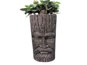 DF-BB-GRC93-BG-featured Old Man of the Wood - Black Grey