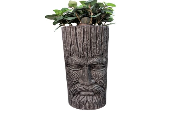 Old Man of the Wood - Black Grey
