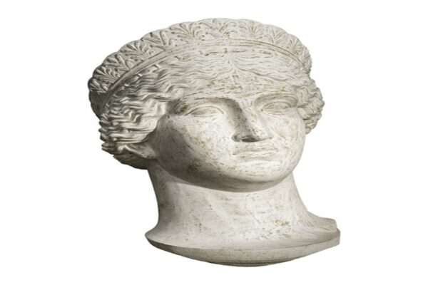 Venus Bust - Antique White Wash