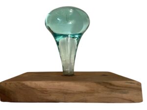 Single Clean Glass Knob