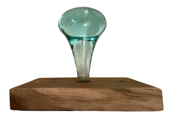 Single Clean Glass Knob
