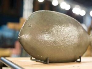 DF-BB-KLEO-AW-50002-featured KLEO Contemporary Fish