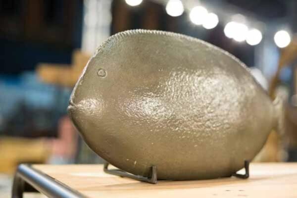 DF-BB-KLEO-AW-50002-featured KLEO Contemporary Fish