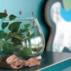 Molten Glass & Rootwood Vase/Jar