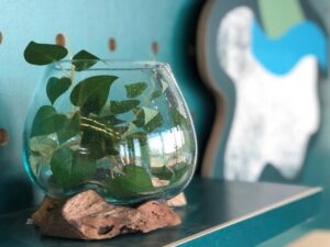 Molten Glass & Rootwood Vase/Jar