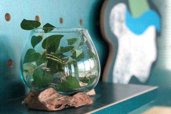 Molten Glass & Rootwood Vase/Jar