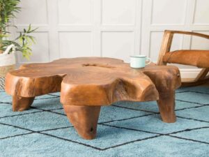 Natural Teak Root Coffee Table