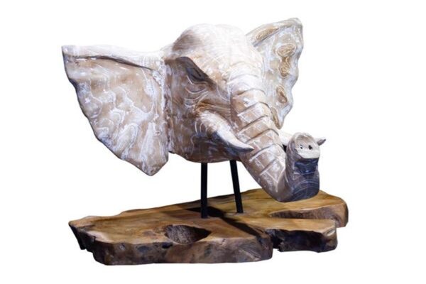 DF-BB-LAW61-featured-1 Elephant