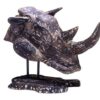 Rhino