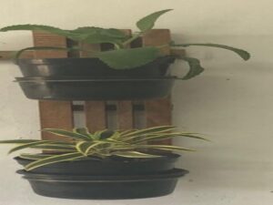 Versatile Herb Garden (Set of 2)