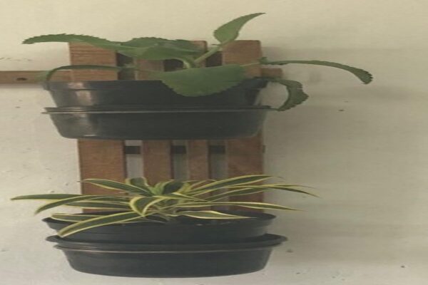 Versatile Herb Garden (Set of 2)