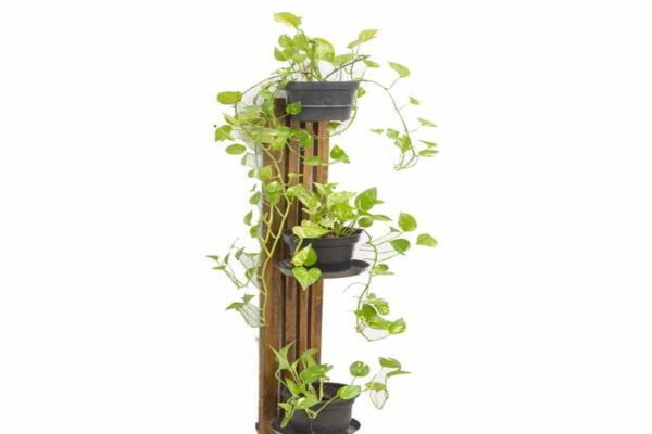 Vertical Wall Planter 150 cm incl 1 Ring & 2 Trays