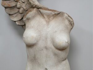 Body With Single Wing