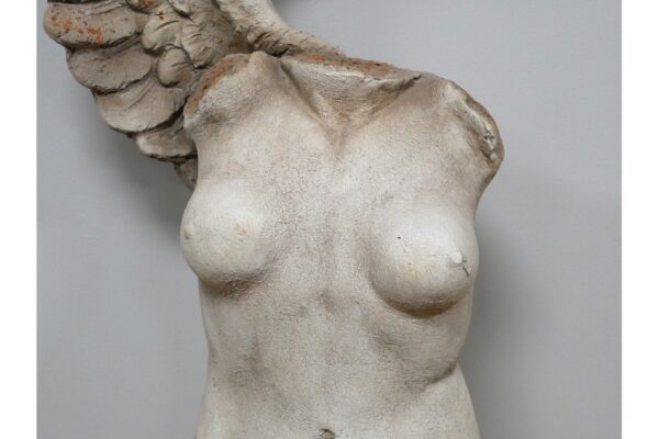 Body With Single Wing
