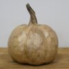 Sunflower Pumpkin