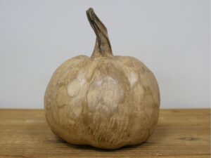 DF-DUT-11129-featured Sunflower Pumpkin