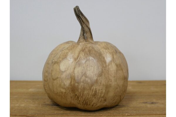 Sunflower Pumpkin