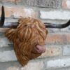 DF-DUT-11165-featured Cow Head