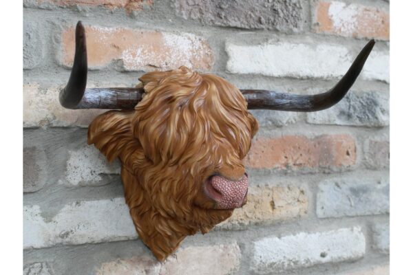 DF-DUT-11165-featured Cow Head