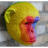 Rainbow Monkey Head