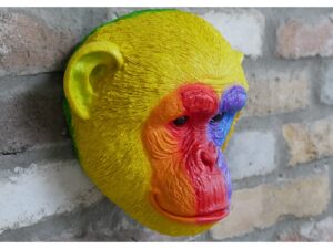 Rainbow Monkey Head