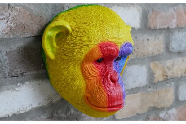 Rainbow Monkey Head
