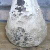 DF-DUT-11373-featured Mushroom (46cm)