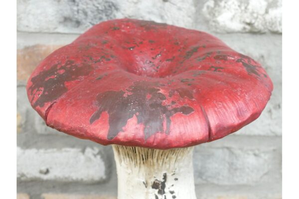 DF-DUT-11374-featured Mushroom (34cm)
