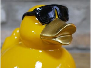 Cool Duck