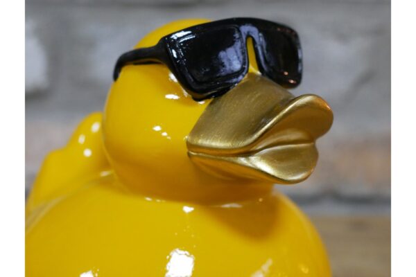 DF-DUT-11541-featured Cool Duck