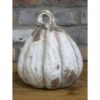 DF-DUT-11600-featured Pumpkin - Small