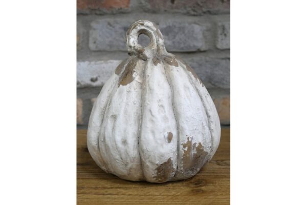 DF-DUT-11600-featured Pumpkin - Small